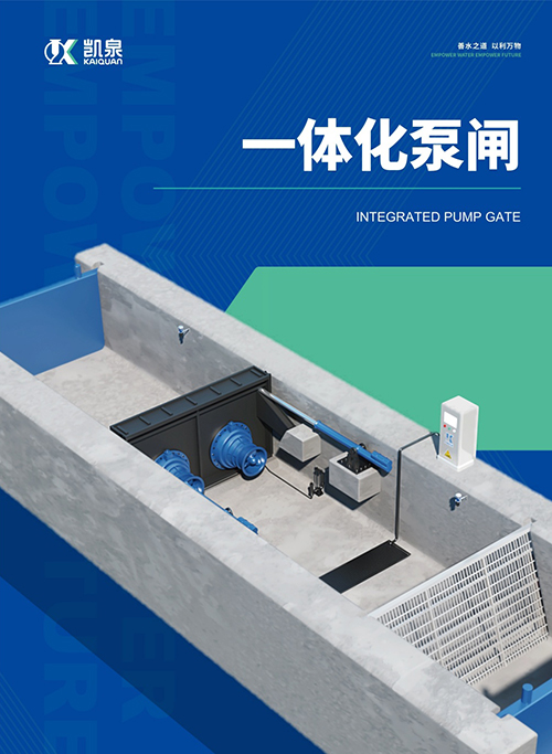 一体化泵闸