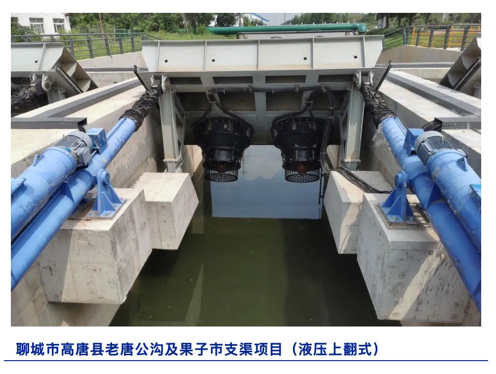 WechatIMG12699 WechatIMG12699