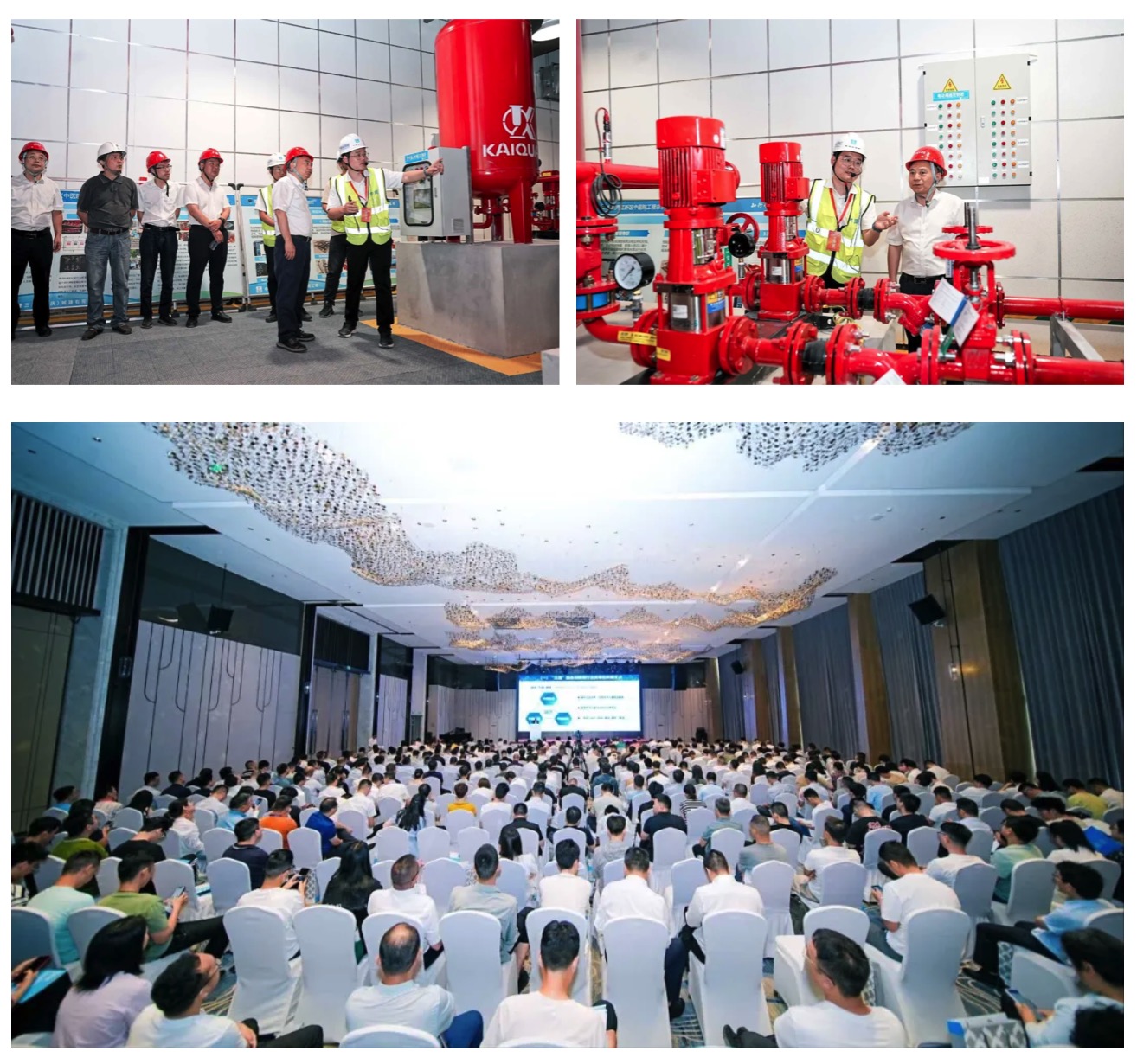 WechatIMG13487 WechatIMG13487