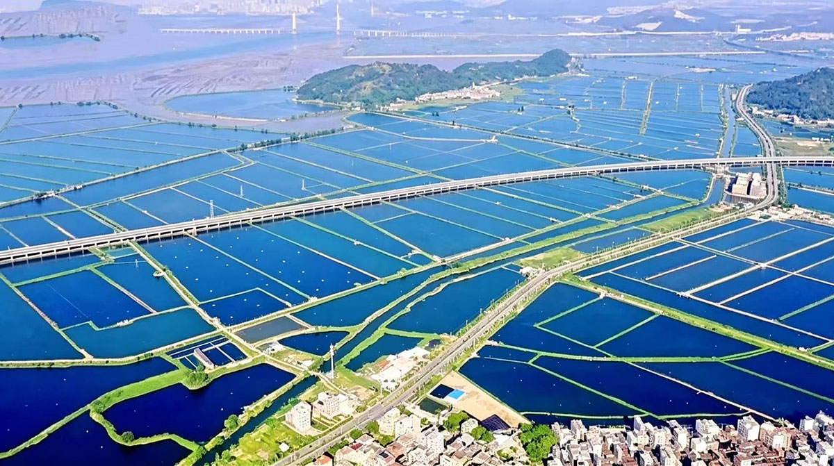 韩江榕江练江水系连通后续优化工程-下架山泵站水泵及其附属设备采购项目