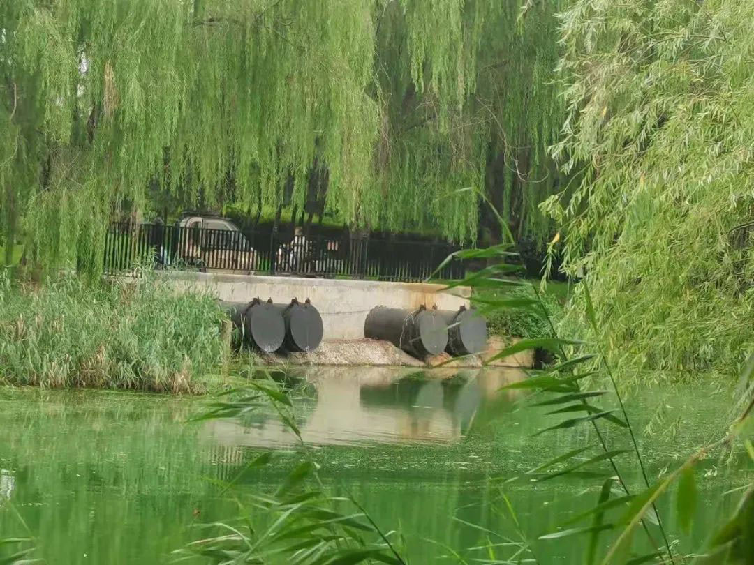 廊坊开发区-6