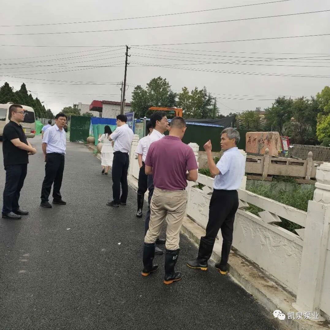 商丘虞城县漓江路-3