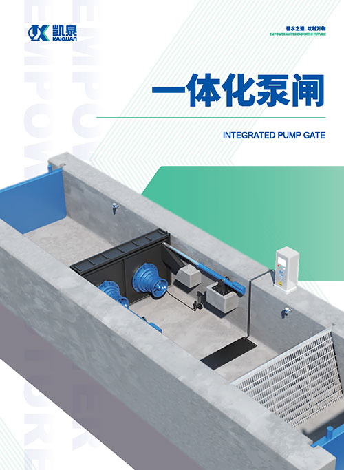 一体化泵闸