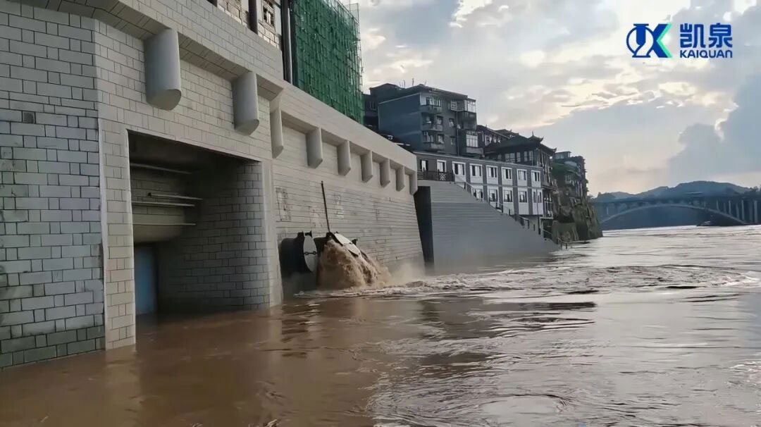 重庆安居古镇排涝潜水混流泵项目