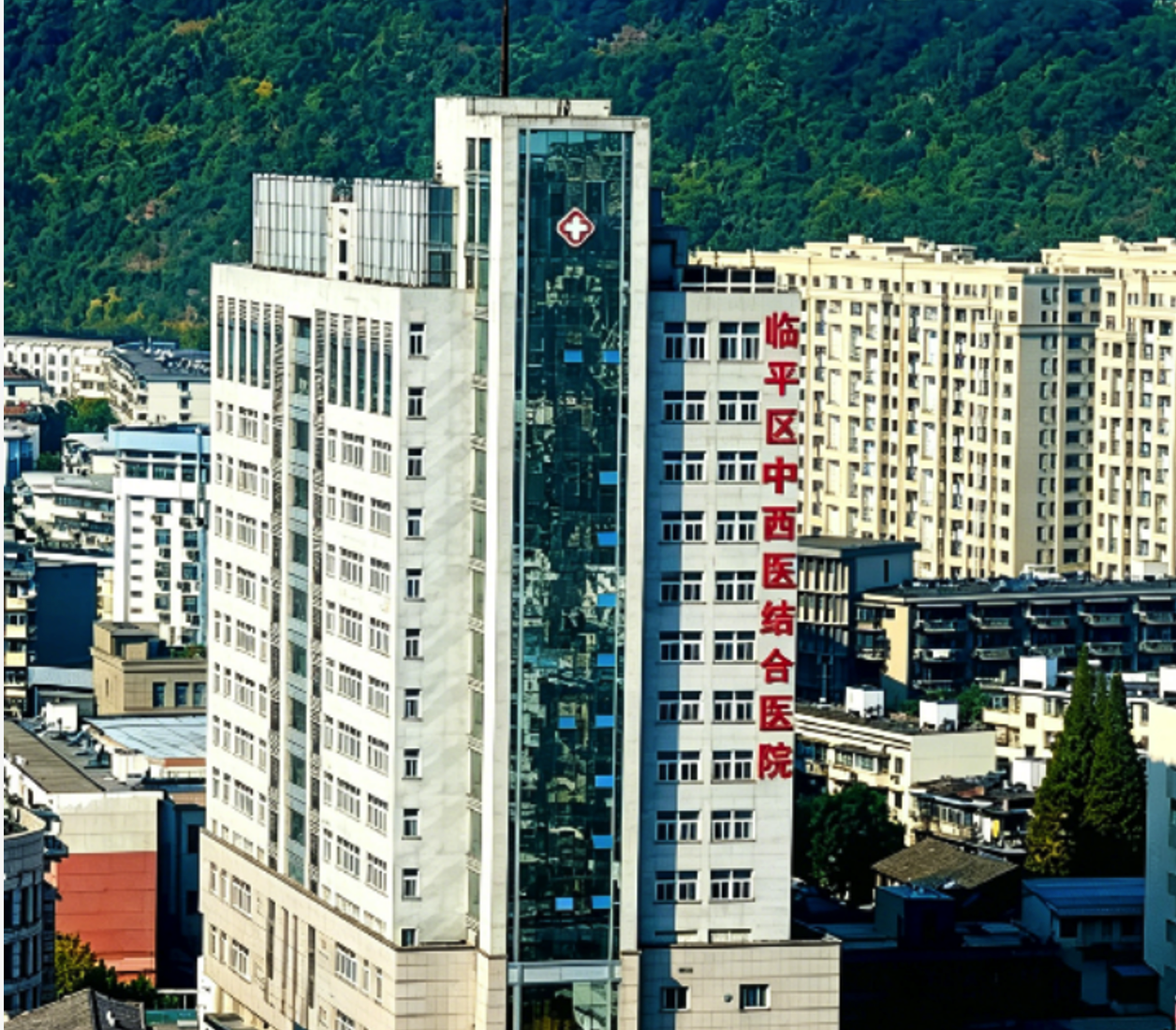 杭州市临平区中西医结合医院项目